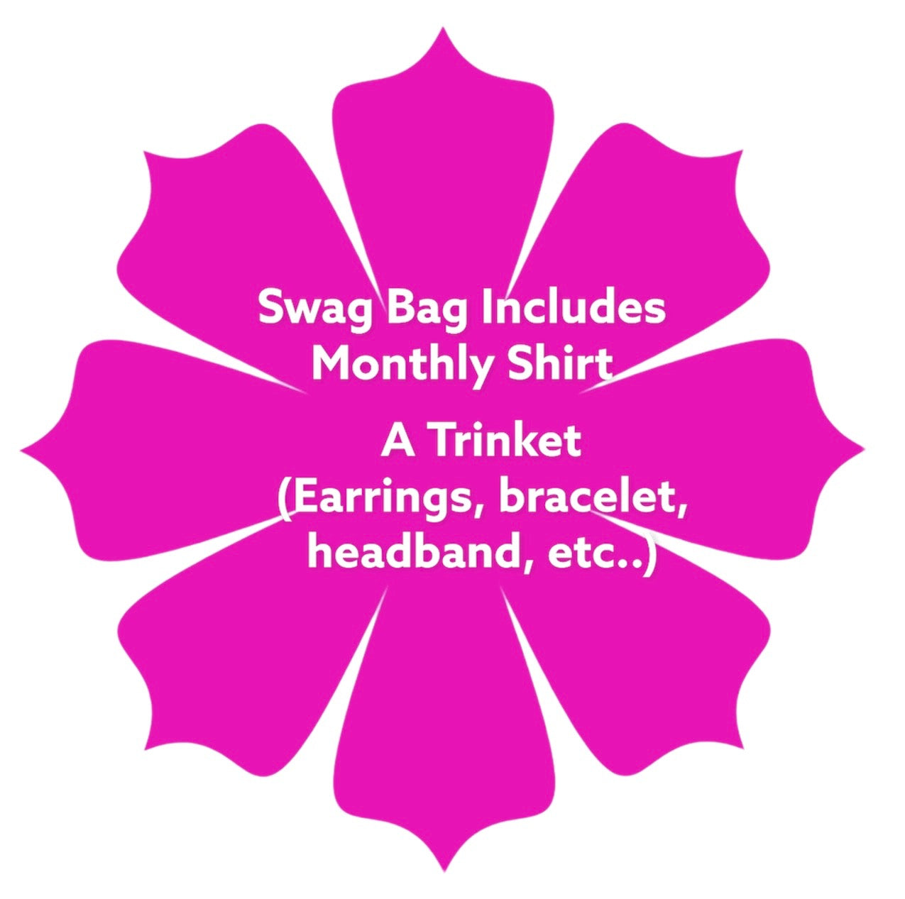 Swag Bag (Monthly T-Shirt Subscription Box)