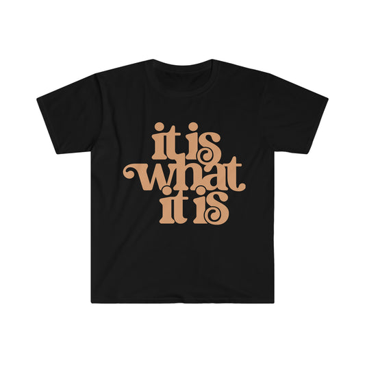 It is What it is Unisex Softstyle T-Shirt